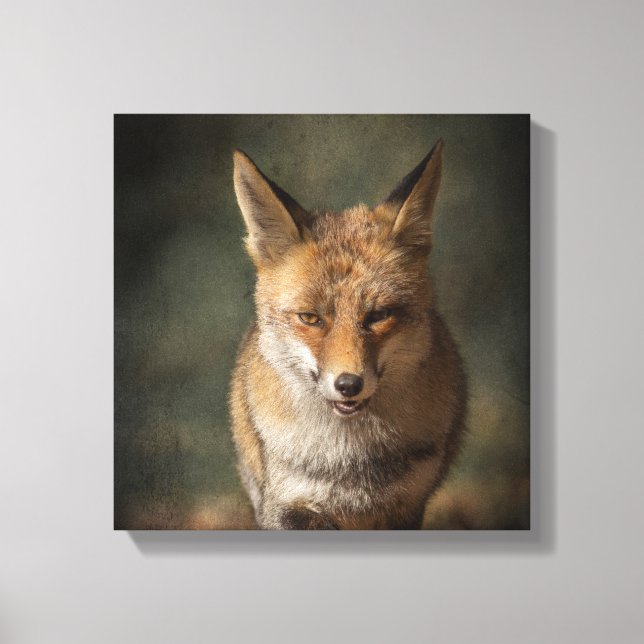 Fox Canvas Print (Front)