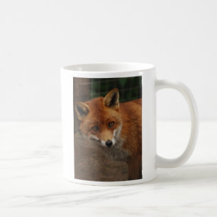 fox coffee mug