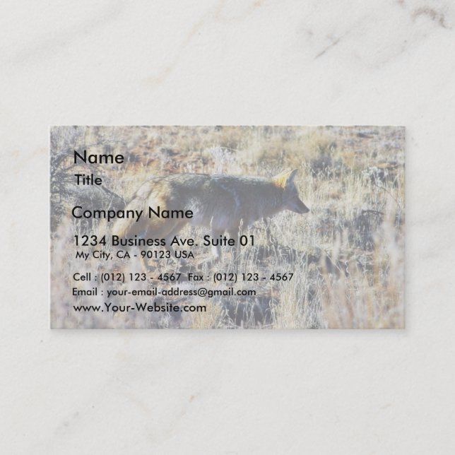Fox Coyotes Wild Anilmal In Field Business Card (Front)