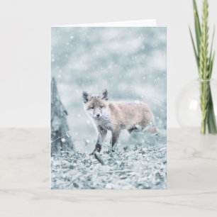 Fox Cub in the Snow Card