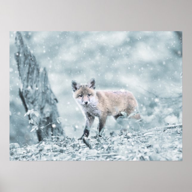 Fox Cub in the Snow Poster (Front)
