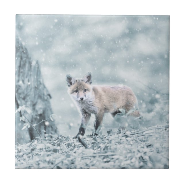 Fox Cub in the Snow Tile (Front)