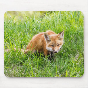 Fox Cub Mouse Pad