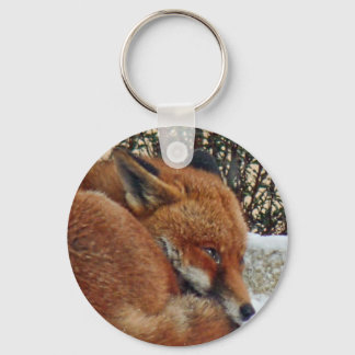 Fox day dreaming keychain