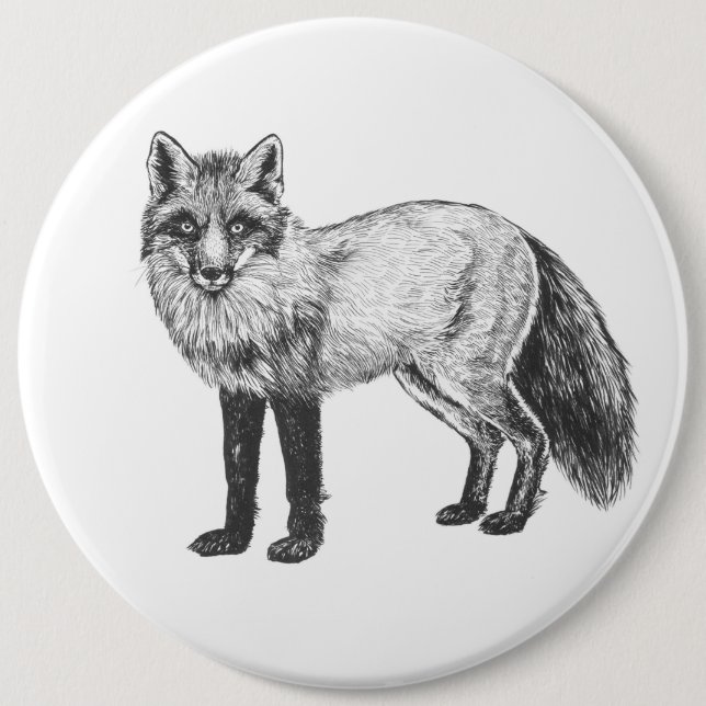 Fox drawing 6 inch round button (Front)
