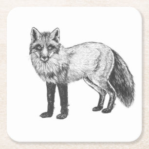 Fox drawing square paper coaster