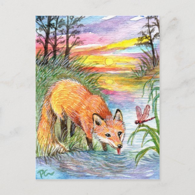 Fox Drinking by Riverside Postcard (Front)