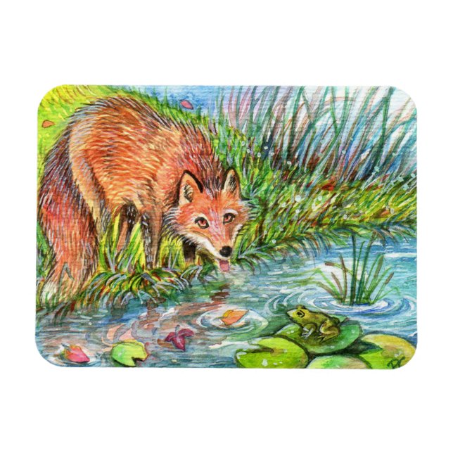 Fox Drinking By The Pond Magnet (Horizontal)