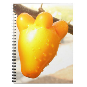Fox Face Fruit Notebook