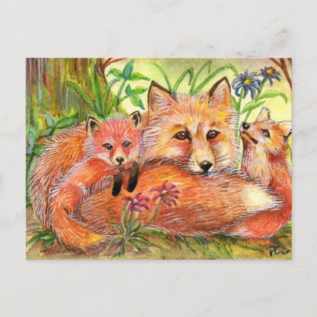 Fox Family in the Woods Postcard (Front)