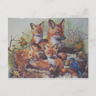 Fox Family Postcard