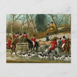 Fox Hunting 1 Postcard