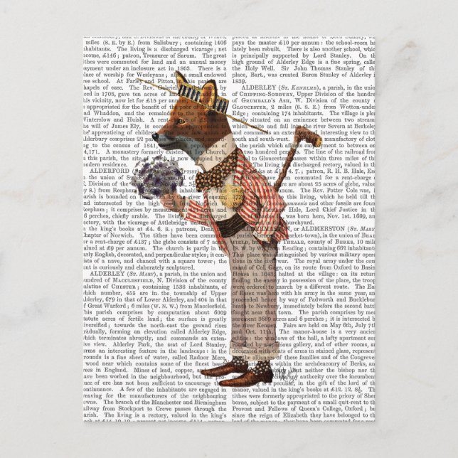 Fox in Boater Postcard (Front)