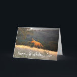 Fox in Moonlight, Happy Birthday Son, humour. Card<br><div class="desc">A cartoon drawing of a ginger fox in the moonlight. There is a moon in the night sky,  and " Happy Birthday Son " is written at the bottom of the card,  humour</div>