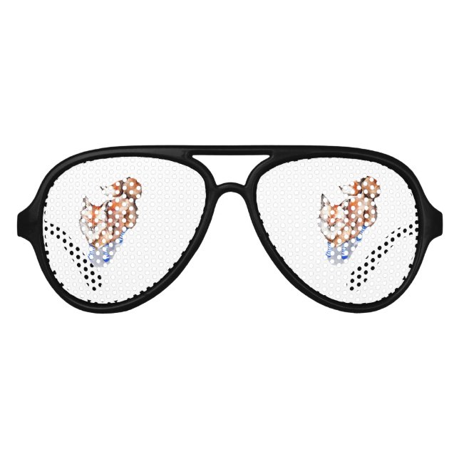Fox in Socks Aviator Sunglasses (Front)