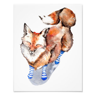 Fox in Socks Photo Print