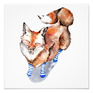 Fox in Socks Photo Print