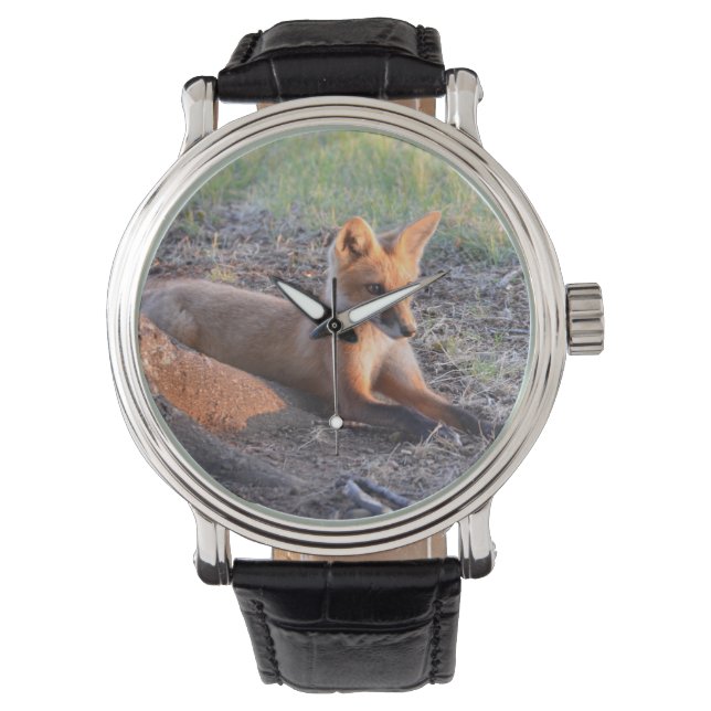 Fox in Sunlight Watch (Front)