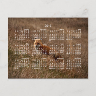 Fox in the Grass; 2013 Calendar Postcard