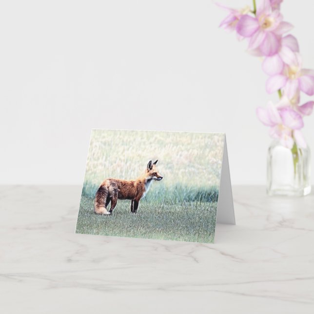 Fox in the Grass - Blank Greeting Card (Orchid)
