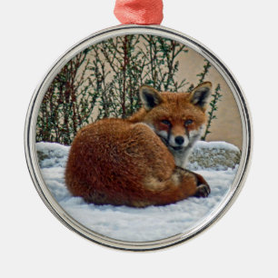 Fox in the snow Ornament