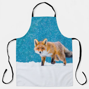 Fox in winter. Red fox, Vulpes vulpes, sniffs abou Apron