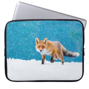 Fox in winter. Red fox, Vulpes vulpes, sniffs abou Laptop Sleeve