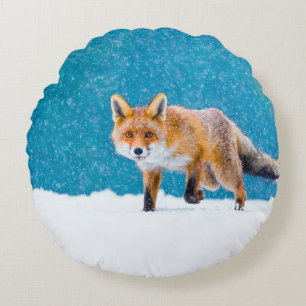 Fox in winter. Red fox, Vulpes vulpes, sniffs abou Round Pillow