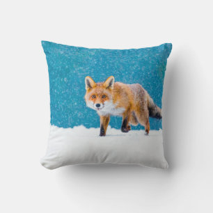 Fox in winter. Red fox, Vulpes vulpes, sniffs abou Throw Pillow