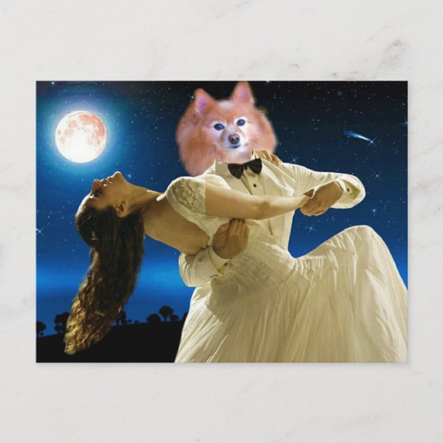 Fox Is A Dancing Fool Postcard (Front)