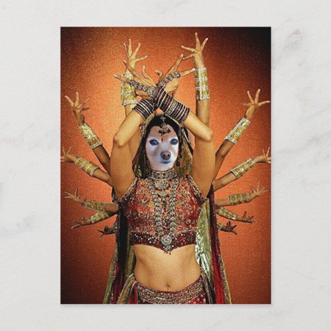 Fox Is A Hindi Dancer Postcard (Front)