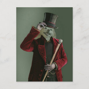 Fox Is The Invisible Man Postcard