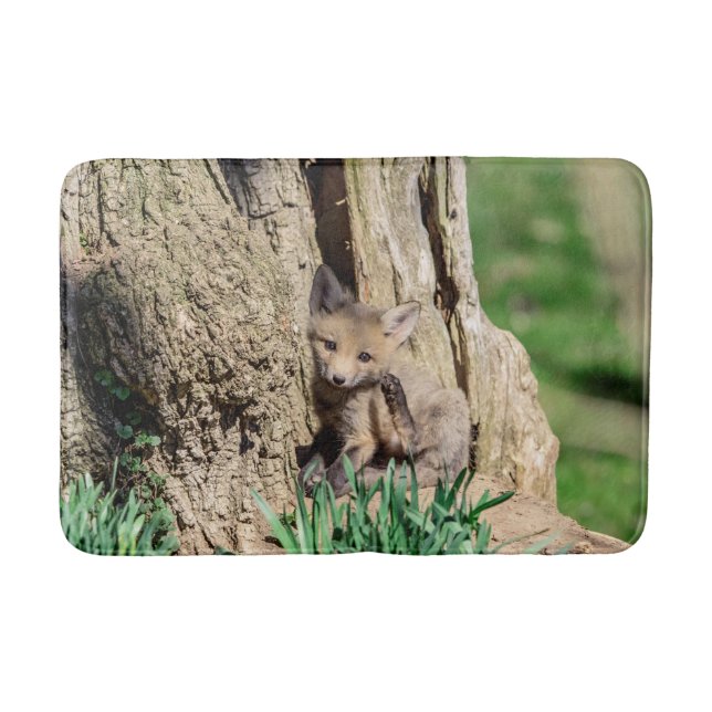Fox Kit in the Hudson Valley Bath Mat (Front)