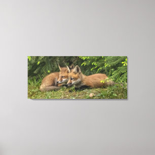  Fox Kit Pals  Canvas Print