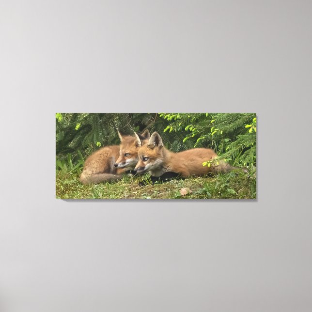  Fox Kit Pals  Canvas Print (Front)