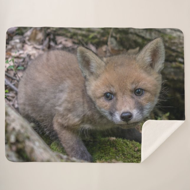 FOX KIT SHERPA BLANKET (Front (Horizontal))