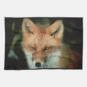 FOX KITCHEN TOWEL