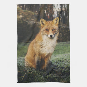 fox kitchen towel, foxy tea towel, fox cub home de towel