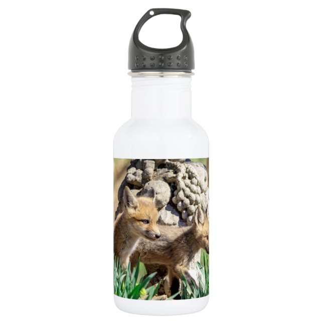 Fox Kits in the Hudson Valley 532 Ml Water Bottle (Front)
