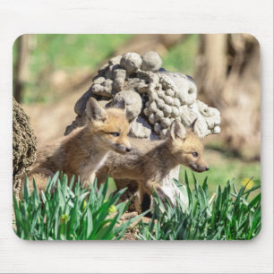 Fox Kits in the Hudson Valley Mouse Pad