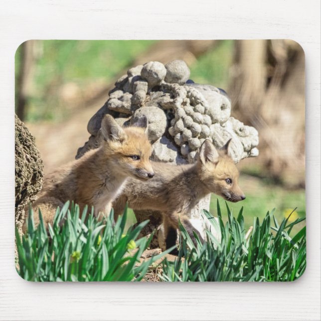 Fox Kits in the Hudson Valley Mouse Pad (Front)
