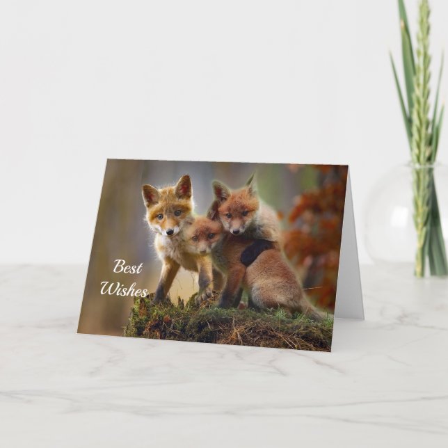 Fox Kits Photo Congratulations Wedding Card (Front)