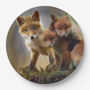 Fox Kits Photo Paper Plate