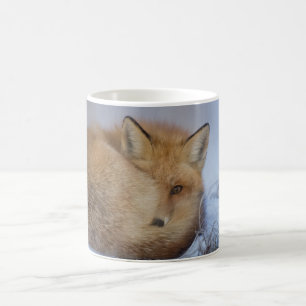Fox mug, foxy mug, foxes, nature, wildlife coffee mug