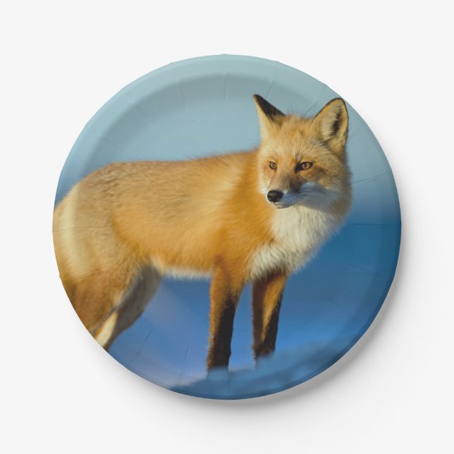 Fox Paper Plate (Front)