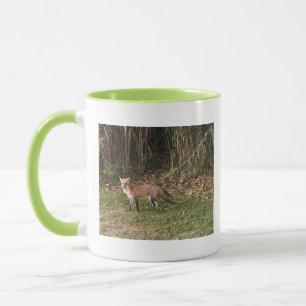 Fox Photo Mug