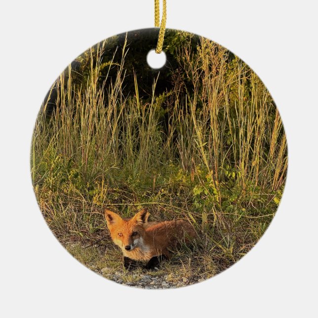Fox Photo Ornament  (Front)