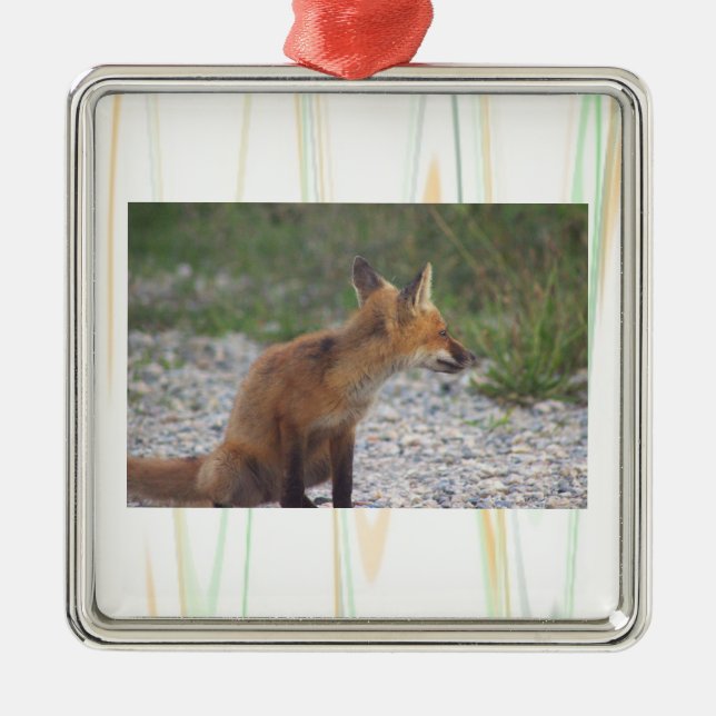 Fox Photo Ornament  (Front)