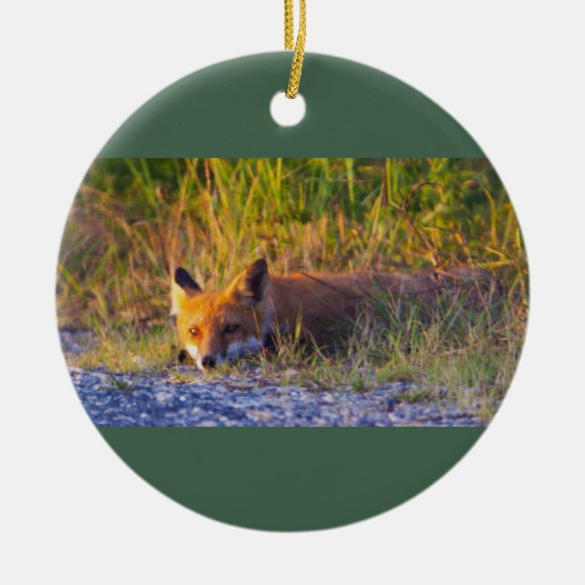 Fox Photo Ornament  (Front)