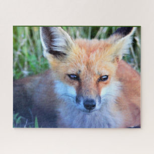 Fox Photo Puzzle